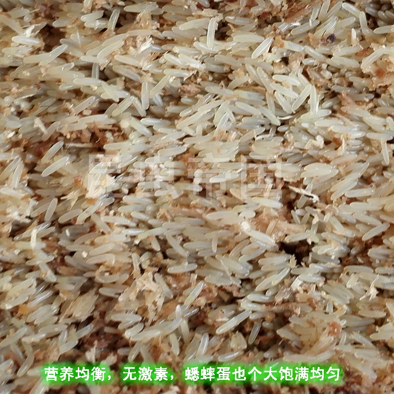 Обычная отправка насекомое империя Байю раствор игла кузнечик масло gourн арована