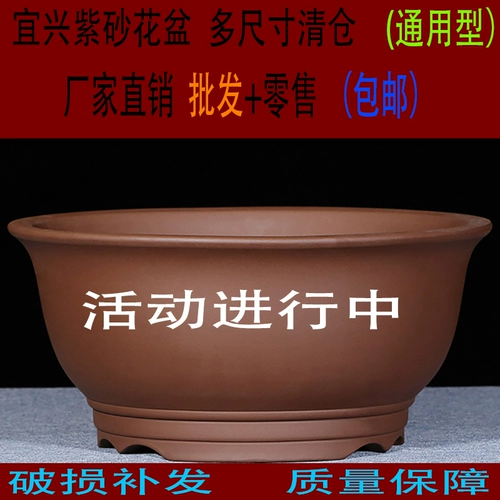 Yixing Purple Sand Basin Special Bonsai Basin Basin Basin Pount Pount Plate