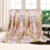 Mùa hè mô phỏng lụa quilt cover đơn duy nhất đôi băng lụa dâu lụa đặc biệt quilt cover Tiansi đặc biệt cung cấp chăn lạnh Quilt Covers