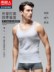 Nam Cực vest nam mùa hè cotton không tay áo thun nam thể thao thể dục Slim mồ hôi vest nam - Lót áo thun nam thể thao Lót