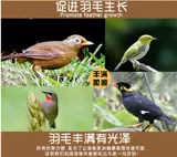 Kaiyuan Brand Bird Food Special Premix повышает скорость размножения.
