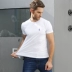 Thương hiệu nam mùa hè 2019 nam mới cổ tròn Paul size lớn tay áo thun cotton ngắn tay áo sơ mi POLO - Áo phông ngắn