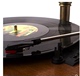 đầu đĩa than Retro vinyl máy hát theo phong cách châu Âu máy phát đĩa than Máy hát
