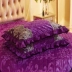 Đầm ren châu Âu có đệm lót giường đơn mảnh mùa đông cộng với nhung trải giường ngắn lông nhung trải giường 1,8 m - Váy Petti Váy Petti