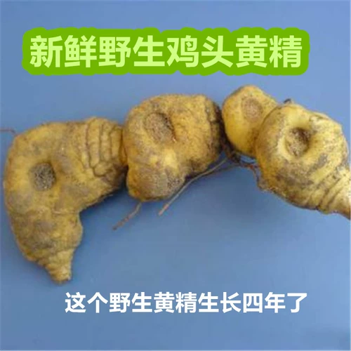 Shennongjian Pure Wild Yellow Essence куриная голова китайская медицина материал Huashan желтая эссенция девять парящих девять питательных продуктов, сверкающие чайные сухой товары