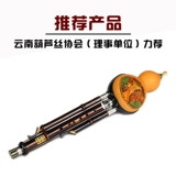 Тыква шелковый музыкальный инструмент начальная школа C, чтобы уменьшить взрослой школьники для взрослых, самообладание, входной флагман Hulu Silk Shop Zizhu