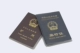 4 паспорта кожи