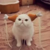 Товары от 响叮当宠物用品