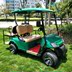 Ao Sen 2 xe điện golf xanh tuần tra xe bốn bánh - Xe đạp điện vespa điện Xe đạp điện