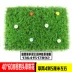 Mô phỏng cỏ nhựa giả cỏ nhân tạo ban công phòng khách cửa sổ trang trí tường trang trí hoa cỏ xanh - Hoa nhân tạo / Cây / Trái cây
