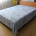 Sợi tre vải thô giường đôi mùa hè duy nhất dày giường mảnh duy nhất hơn so với mat cũ vải thô mồ hôi thấm thở mềm Khăn trải giường