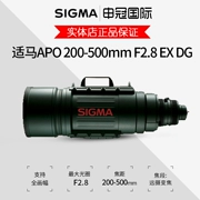 Sigma APO 200-500mm F2.8 EX DG máy ảnh SLR tele zoom 200-500 - Máy ảnh SLR