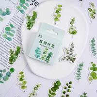 1 коробка с шампанским цветом 1 коробка 45 листьев эвкалипта