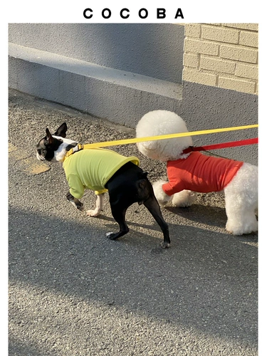 Кокоба для любимой собаки одежда прилив бренд весна и осень тонкий маленький средний средний кошки маленький молоко кот милый плюшевый нагрудник