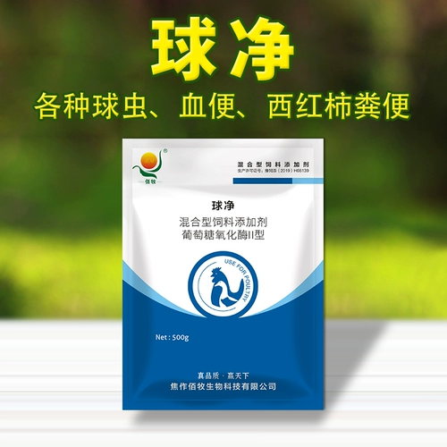 Медицина для птицы с куриной птичником маленькая кишяка с курицей с куриной уткой, утка, птица, птица, кишечная кровь, гимнопус, гимнопус