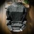 Mùa thu và mùa đông nam ấm áp cao cổ áo len Hàn Quốc phiên bản của tự trồng ve áo thanh niên quần áo sinh viên mùa đông dày áo len