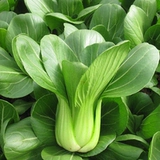 Коротко -подключенные семена зеленого стебля Fuji