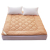 Bông đệm giường nệm nhíp đơn đôi 1.5 1.8 tatami mùa hè phần mỏng Simmons giường pad Nệm