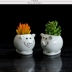 Trắng sáng tạo phim hoạt hình nhỏ động vật gốm thịt hoa nồi dễ thương lợn mọng nước hoa chậu hoa - Vase / Bồn hoa & Kệ chậu trồng cây cảnh Vase / Bồn hoa & Kệ