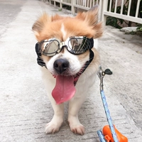 Питомец поставляется красочные собачьи очки солнцезащитные очки кошачьи солнцезащитные очки дрожание сетка