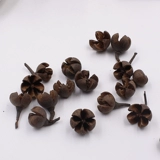 Мори Закка натуральный оллазм Songguo полные фрукты фрукты фрукты цветочные цветочные потоки цветочные потоки текут древний интернет -магазин