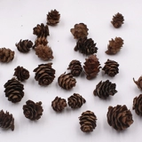 Мори Закка натуральный оллазм Songguo полные фрукты фрукты фрукты цветочные цветочные потоки цветочные потоки текут древний интернет -магазин