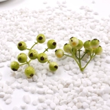 Мори женский цветочный кольцевой кольцевый материал моделирование материала моделирование пена DIY Моделирование мини -фрукты Fruit Fruit Hot Sale