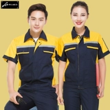 Лето короткошерстная автопрофила