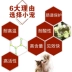 2 gói chó chung tiêu hóa tiêu chảy táo bón pet dạ dày kho báu chế phẩm sinh học chữa bệnh đường tiêu hóa bệnh mèo sản phẩm sức khỏe