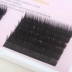 Duy nhất ghép lông mi giả mềm thoải mái tự nhiên thực tế dày dày đặc 0.15 protein tơ lụa trồng lông mi