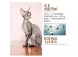 Немецкие катящиеся кошки специальные рыбные семена кошки домашние животные в начале котенка 3 котластных из натурального основного зерна, чтобы разорвать отметки бесплатно доставка