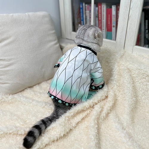 Призрак эсминец домашних животных Pet Wrom