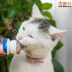 Đức Trixie Trestle Greedy Salmon Cat Snack Đào tạo Phần thưởng Kem dinh dưỡng 舔舔 45ML - Cat / Dog Health bổ sung Sữa cho chó con 2 tháng tuổi Cat / Dog Health bổ sung