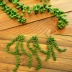 Mô phỏng Valentine nước mắt treo hạt phong lan giả hoa giỏ treo tường trang trí tường mây cây xanh mô phỏng cây mọng nước - Hoa nhân tạo / Cây / Trái cây
