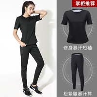 Штаны, бюстгалтер, облегающий крой, короткий рукав