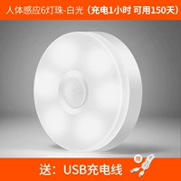 Sensory 6 Lamp Beads-150 Дни-белый свет