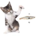 Đồ ăn nhẹ cho mèo, cá khô, đồ ăn nhẹ cho mèo, cá nước ngọt, chế biến khô, răng hàm, phụ gia dinh dưỡng Hạt Cateye cho mèo có tốt không Đồ ăn nhẹ cho mèo
