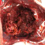 AF FAKHER ONE KILOGRAM Оригинальной сборки Дубая Импортированная альфа Хи Хи Арабар Сигарет Сигарет 1000 грамм бесплатной доставки