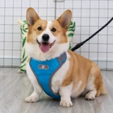 Подтяжки, милая майка топ для выхода на улицу, взрывобезопасный чокер