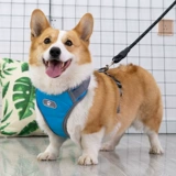 Подтяжки, милая майка топ для выхода на улицу, взрывобезопасный чокер