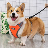 Оранжево-красный