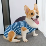 Одежда собак плюшевая осень и зимние животные, Корчи, маленькая большая собака Шиба Ину Золотой ретривер барон щенка четыре фута