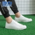 Giày kéo lại giày thể thao nam cao cấp Plimsolls