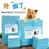 Pet đào tạo tã pad 100 miếng dày dùng một lần nước tiểu tã không thấm nước rò rỉ mèo chó tã - Cat / Dog Beauty & Cleaning Supplies