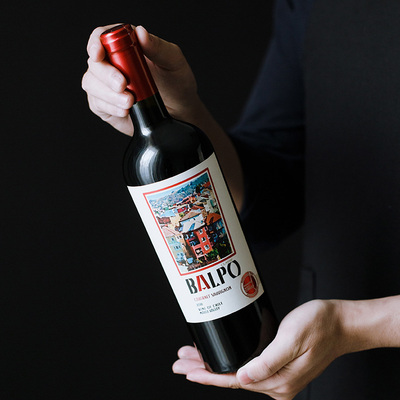 智利原装进口：750mlx2瓶 Balpo堡歌 2019特选赤霞珠干红葡萄酒