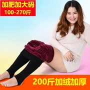 Cộng với quần legging nhung dày mốt nữ MM mùa thu đông đã mỏng bên ngoài mặc bước chân cộng với phân bón XL quần ấm 200 kg