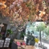 Mô phỏng hoa anh đào cưới cây anh đào lớn trong nhà phòng khách tường điều hòa mạng lưới màu đỏ trang trí nhựa giả hoa mây - Hoa nhân tạo / Cây / Trái cây