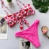 2018 tốc độ bán bikini màu hồng tình yêu in áo tắm nóng bán áo tắm nữ châu Âu và Mỹ - Bikinis