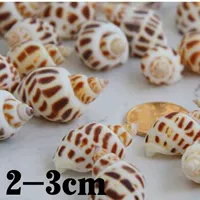 Pink Natural Dongfeng Snail 5