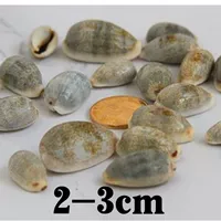 Светло-серый натуральный серый кролик-5 монет улитки 5